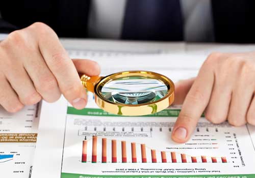 Due Diligence Audit